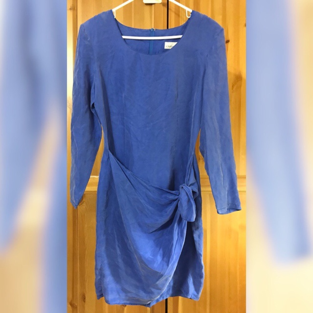 Pure Silk Dress
